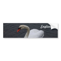 Customize Product Bumper Sticker
