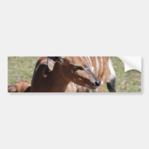 Customize Product Bumper Sticker
