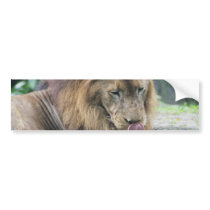 Customize Product Bumper Sticker