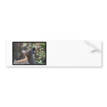 Customize Product Bumper Sticker