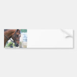 Customize Product Bumper Sticker