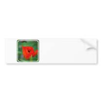 Customize Product Bumper Sticker