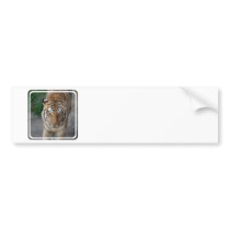 Customize Product Bumper Sticker