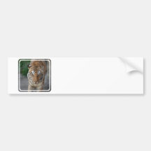 Customize Product Bumper Sticker