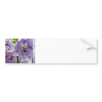 Customize Product Bumper Sticker