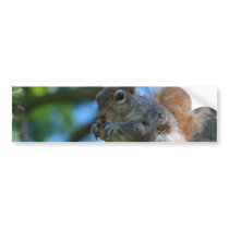 Customize Product Bumper Sticker