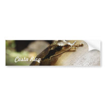 Customize Product Bumper Sticker
