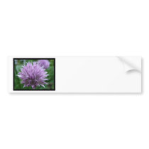 Customize Product Bumper Sticker
