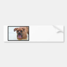 Customize Product Bumper Sticker