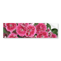 Customize Product Bumper Sticker