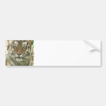 Customize Product Bumper Sticker