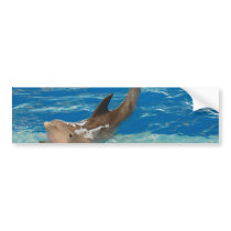 Customize Product Bumper Sticker