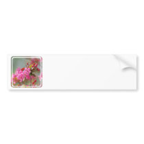 Customize Product Bumper Stickers