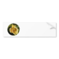 Customize Product Bumper Stickers