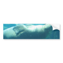 Customize Product Bumper Stickers