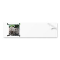 Customize Product Bumper Stickers
