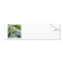Customize Product Bumper Stickers