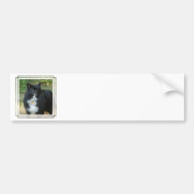 Customize Product Bumper Stickers