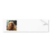 Customize Product Bumper Stickers