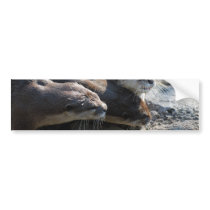 Customize Product Bumper Stickers