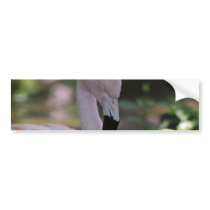 Customize Product Bumper Stickers