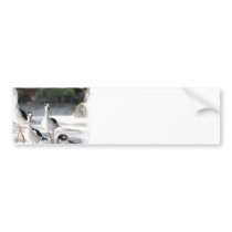 Customize Product Bumper Stickers