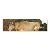 Customize Product Bumper Stickers