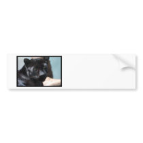 Customize Product Bumper Stickers