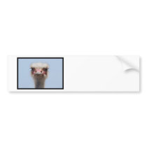Customize Product Bumper Stickers