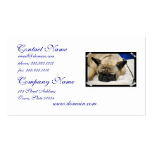 Customize Product Business Card