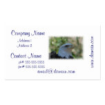 Customize Product Business Card Template