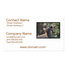 Customize Product Business Card Templates