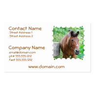 Customize Product Business Cards
