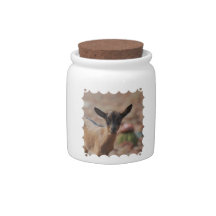 Customize Product Candy Dish