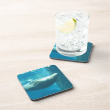 Customize Product Coaster