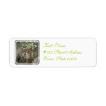 Customize Product Custom Return Address Labels