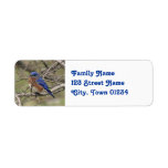 Customize Product Custom Return Address Labels