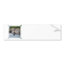 Customize Product - Customized Bumper Stickers