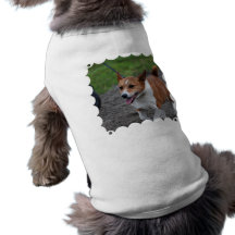 Customize Product Dog T Shirt
