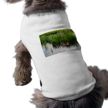Customize Product Doggie Tshirt