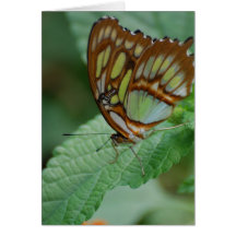 Customize Product Greeting Card