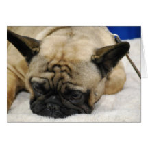 Customize Product Greeting Cards