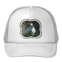 Customize Product Hat