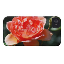 Customize Product iPhone 4 Case-Mate Cases
