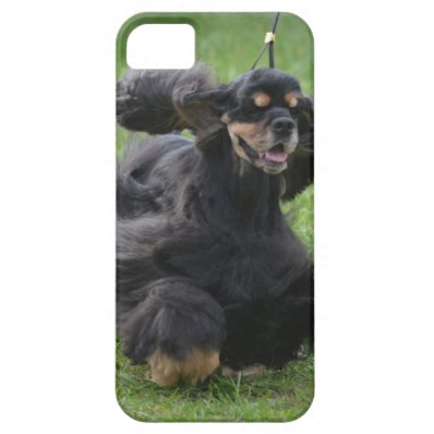 Customize Product iPhone 5/5S Cases