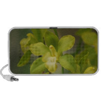 Customize Product iPod Speaker