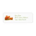 Customize Product Labels