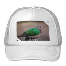 Customize Product Mesh Hat