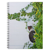 Customize Product Notebook