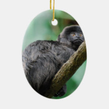 Customize Product Ornaments